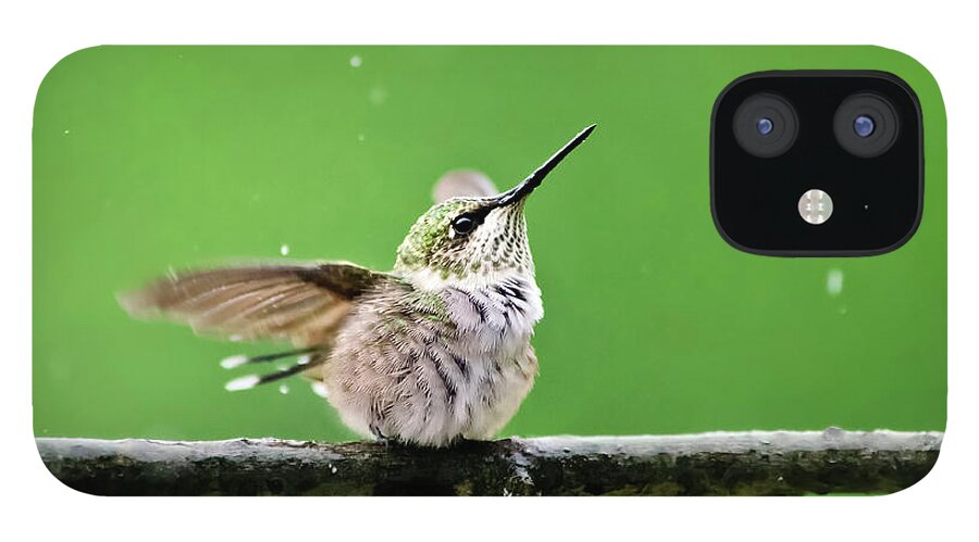 Hummingbird iPhone 12 Case featuring the photograph Hummingbird In The Rain by Christina Rollo