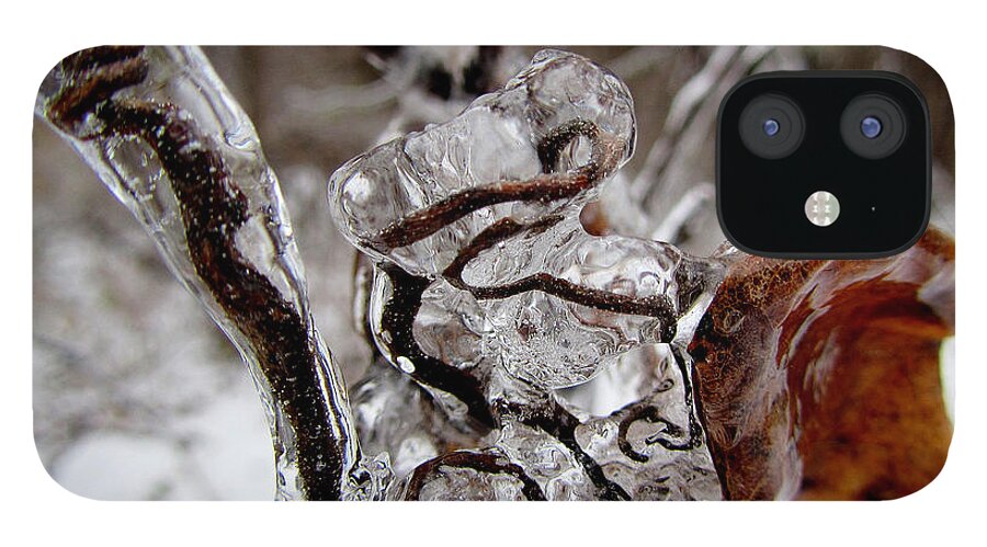 Vines Ice Fstop101 Nature Plants iPhone 12 Case featuring the photograph Ice Covered Vines by Geno Lee