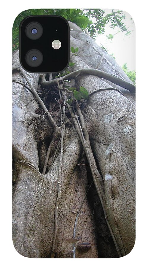 Arbre iPhone 12 Case featuring the photograph Jungle tree Australia by Joelle Philibert