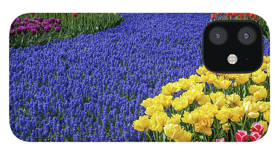 Europe iPhone 12 Case featuring the photograph Keukenhof Gardens Tulips and Hyacinth River by Jim Miller