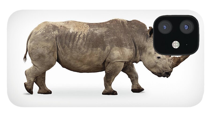 Rhino iPhone 12 Case featuring the photograph Large White Rhino Profile Big Horn Extracted by Good Focused