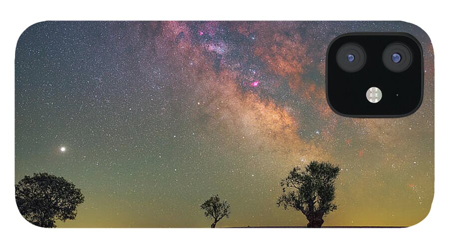 Valensole iPhone 12 Case featuring the photograph Lavender Blue by Ralf Rohner