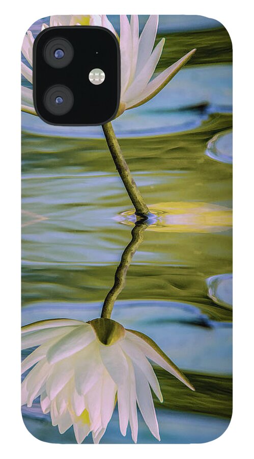 Flower iPhone 12 Case featuring the photograph Lily Reflection by Cathy Kovarik