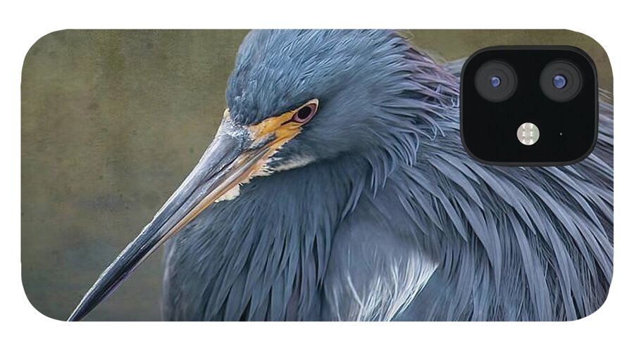 Little Blue Heron iPhone 12 Case featuring the photograph Little Blue Heron by Rebecca Herranen