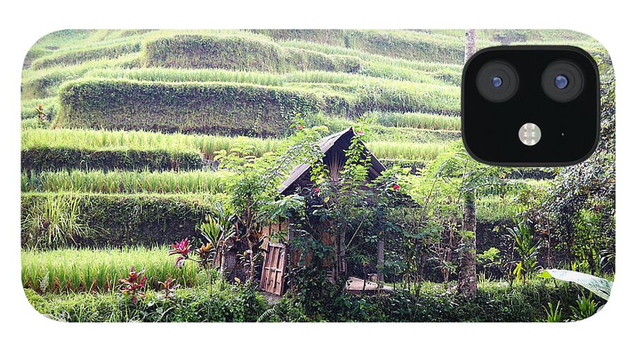 Hut iPhone 12 Case featuring the digital art Little hut surrounded by flowers by Worldvibes1