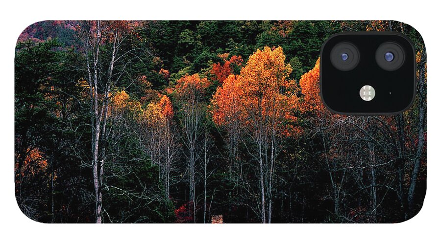 Tennessee iPhone 12 Case featuring the photograph Lonely Cabin 93 by Mike McBrayer