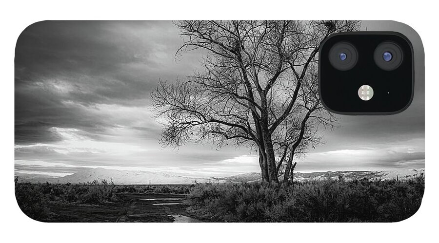 Nature iPhone 12 Case featuring the photograph Lonely Tree on the Road Less Traveled by Mike Lee