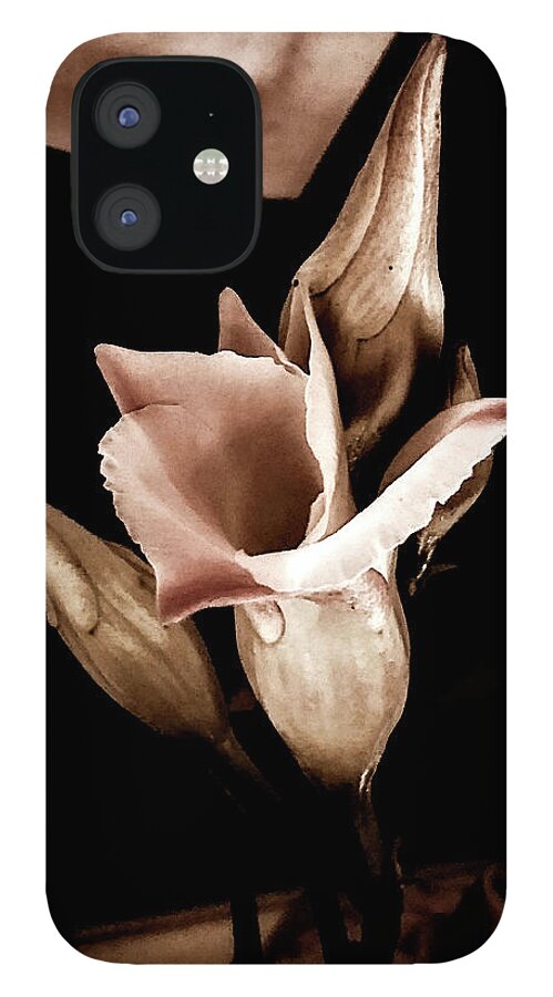  iPhone 12 Case featuring the photograph Looking around-287 by Emilio Arostegui
