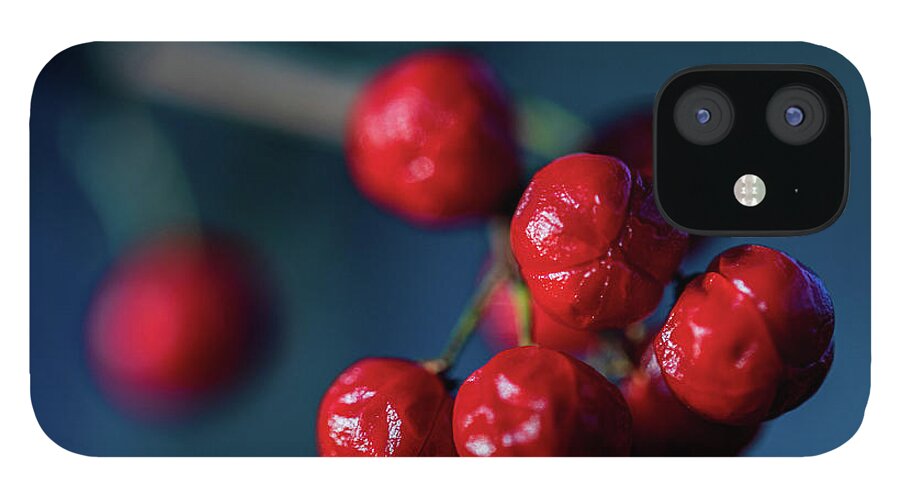 Photographs iPhone 12 Case featuring the photograph Macro Photography - Winter Berries 1 by Amelia Pearn