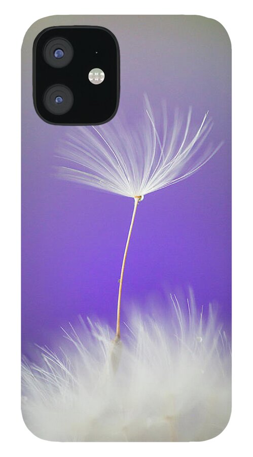 Abstract iPhone 12 Case featuring the photograph Make a Wish - on Purple by Anita Nicholson