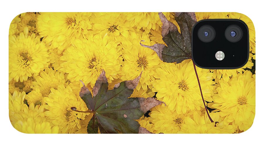 Autumn iPhone 12 Case featuring the photograph Maple Leaves on Chrysanthemum by William Kuta