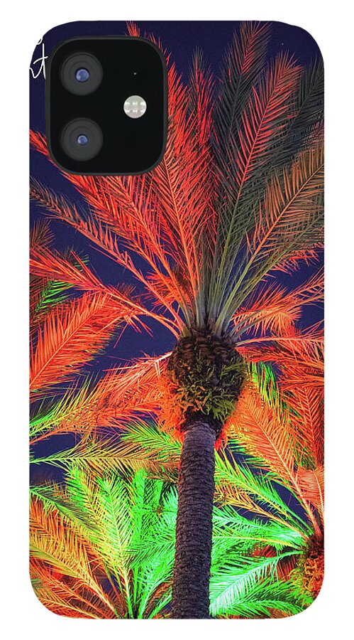 Florida iPhone 12 Case featuring the photograph Merry and Bright Christmas Palms by Robert Wilder Jr