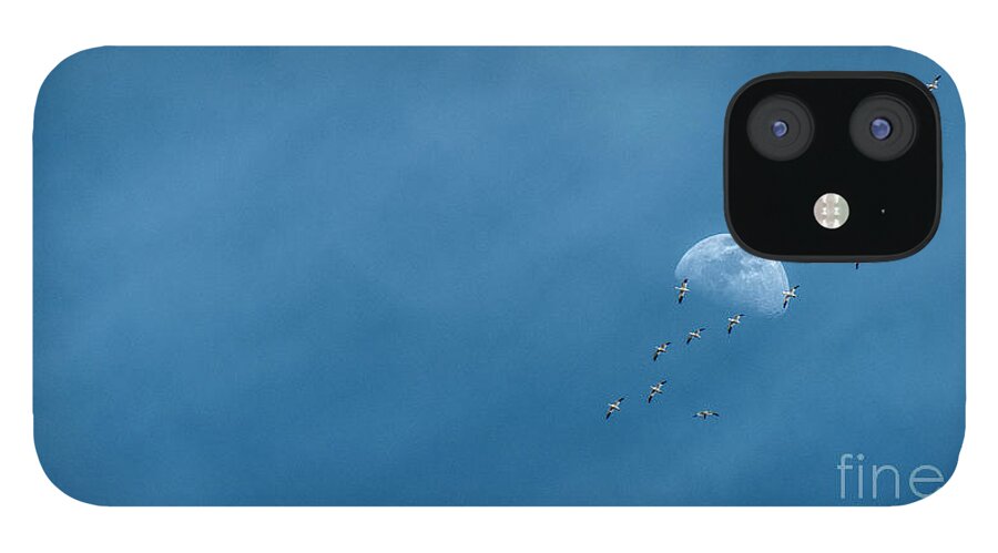 Moon iPhone 12 Case featuring the photograph Moon and Snow Geese by Pamela Dunn-Parrish