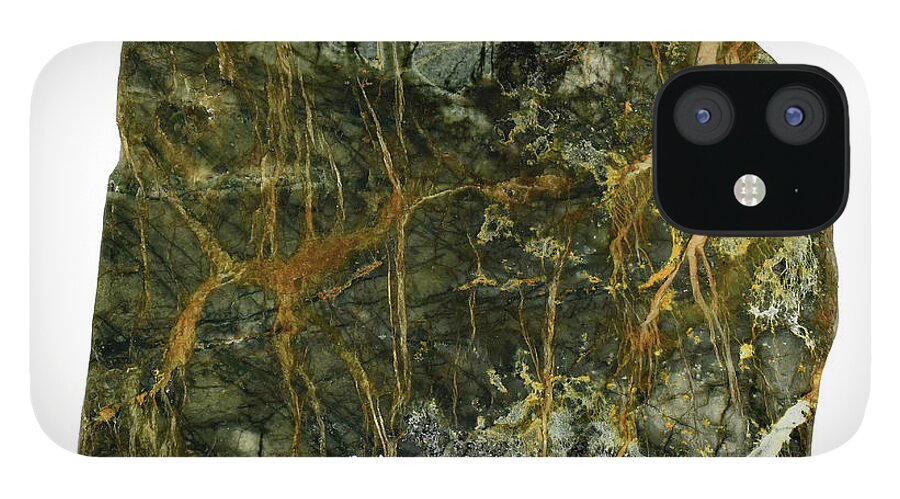 Art In A Rock iPhone 12 Case featuring the photograph Mr1000 by Art in a Rock