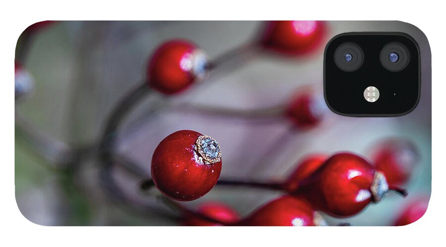 Landscape iPhone 12 Case featuring the photograph Nature Photography - Winter Berries by Amelia Pearn