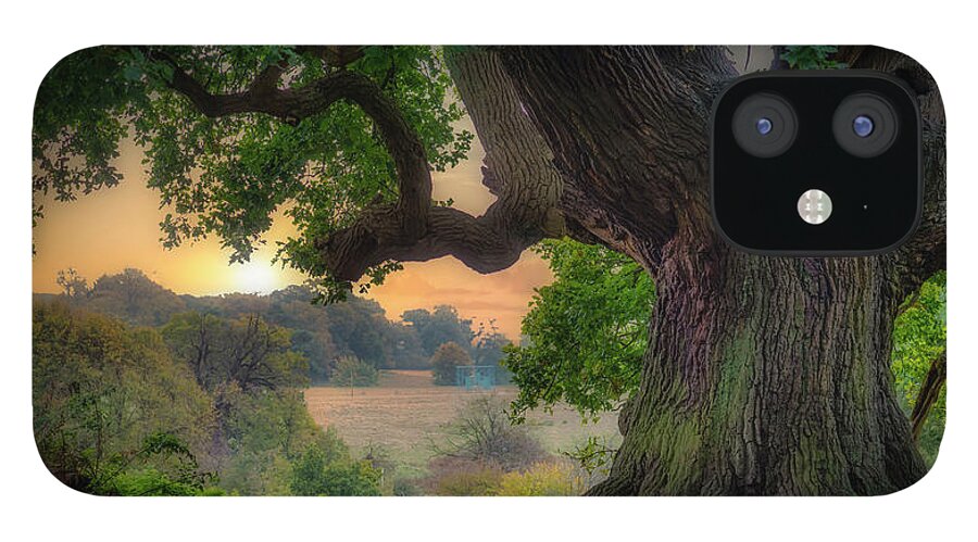 Old Oak iPhone 12 Case featuring the photograph Old oak in the morning 2 by Remigiusz MARCZAK