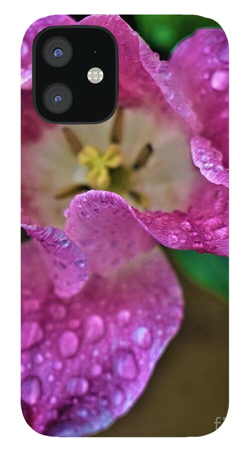 Tulip iPhone 12 Case featuring the photograph Open Tulip by Jimmy Clark
