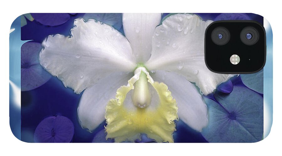 Orchid iPhone 12 Case featuring the photograph Orchid Pond by Bruce Frank