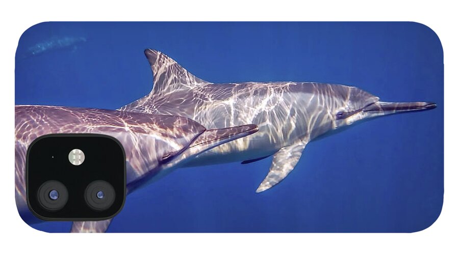  iPhone 12 Case featuring the photograph Pair of Spinner Dolphins by Denise Bird