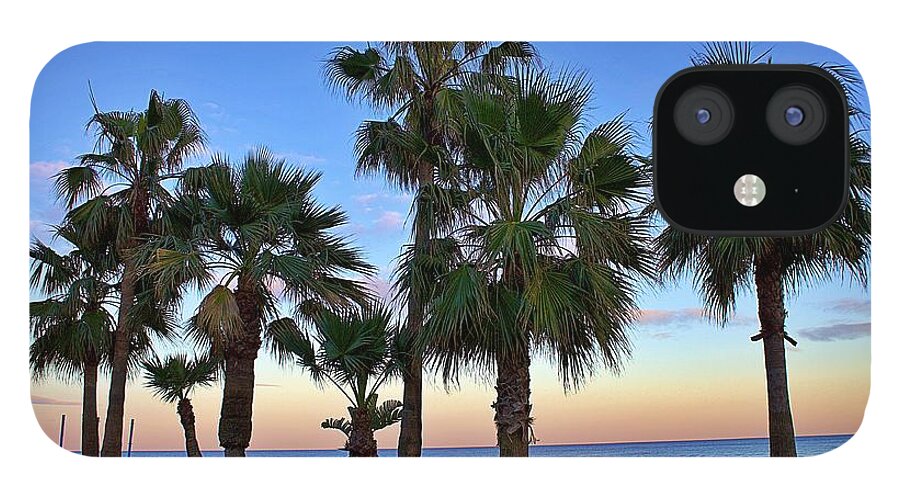 Andalusia .andalucia iPhone 12 Case featuring the photograph Palm Trees Andalusia Spain by Yvonne M Smith