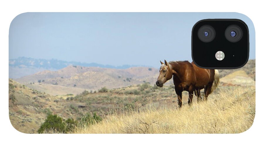 Palomino iPhone 12 Case featuring the photograph Palomino in the Badlands by Katie Keenan