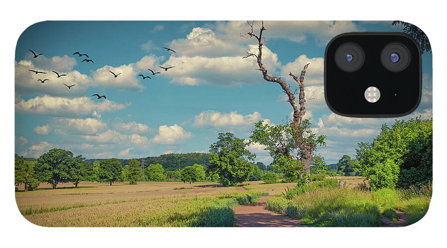 Landscape iPhone 12 Case featuring the photograph Path 2 by Remigiusz MARCZAK