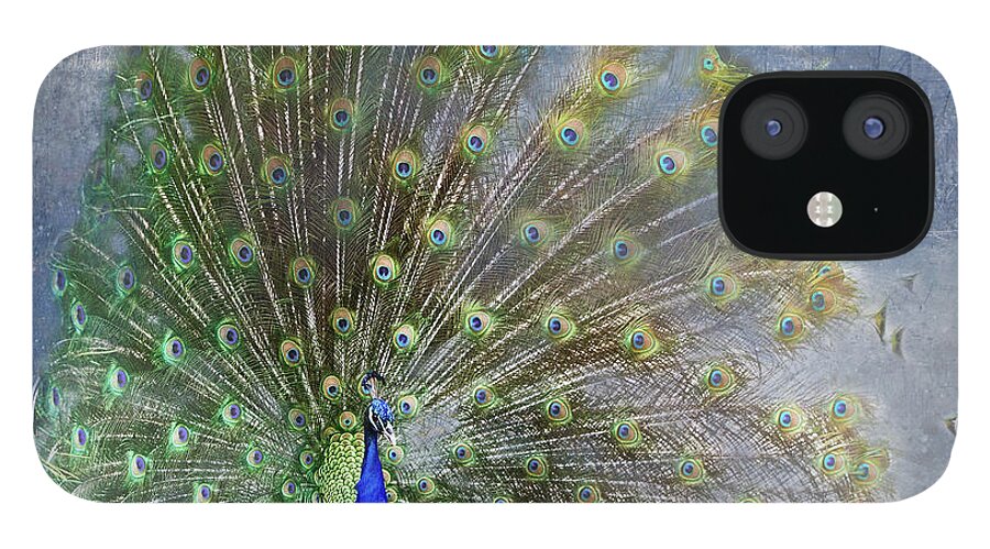 Peacock iPhone 12 Case featuring the photograph Peacock Art by Ed Taylor