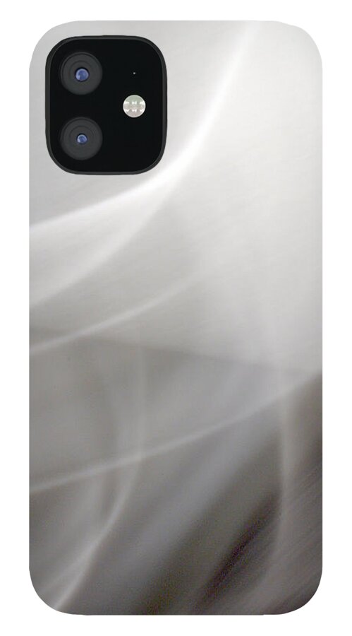 White Pegasus iPhone 12 Case featuring the photograph Pegasus BB by John Emmett