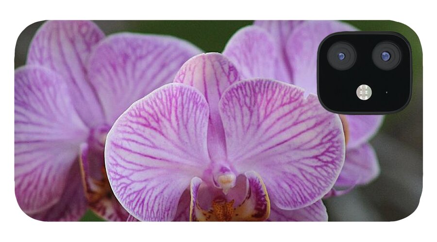 Pink iPhone 12 Case featuring the photograph Pink Orchid by Yvonne M Smith