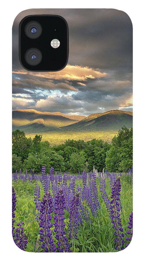 #lupines#newhampshire#flowers#fields#mountains#skies#sunset#spri iPhone 12 Case featuring the photograph Play of Light by Darylann Leonard Photography