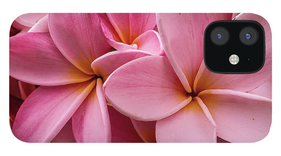 Flowers iPhone 12 Case featuring the photograph Pretty in Pink by Tony Spencer