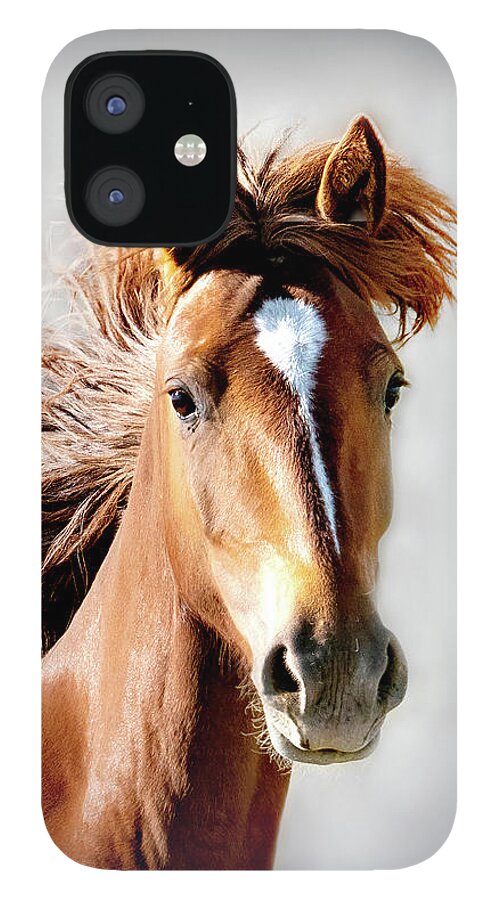 Horses iPhone 12 Case featuring the photograph Proud Wildness Portrait by Judi Dressler