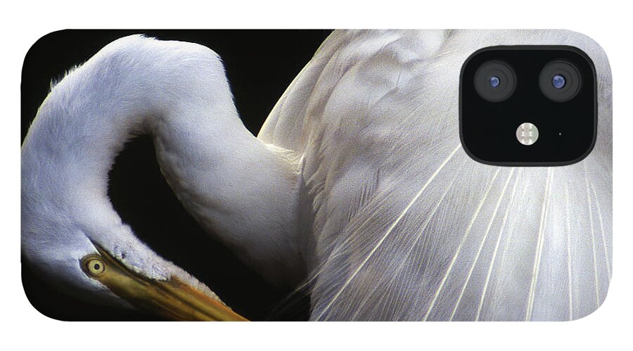 Egret iPhone 12 Case featuring the photograph Pruning Close Up #2 by Jerry Griffin