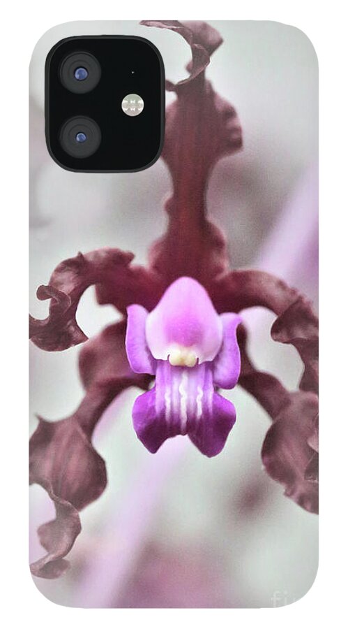 Orchid; Orchids; Purple Orchid; Purple Orchids; Flower; Purple; Purple Flower; Photography; Digital Art; Flowers; Floral; Flora; Digital Art; Photography; Simple; Decorative; Décor; Macro; Close-up iPhone 12 Case featuring the photograph Purple Orchid Haze by Tina Uihlein