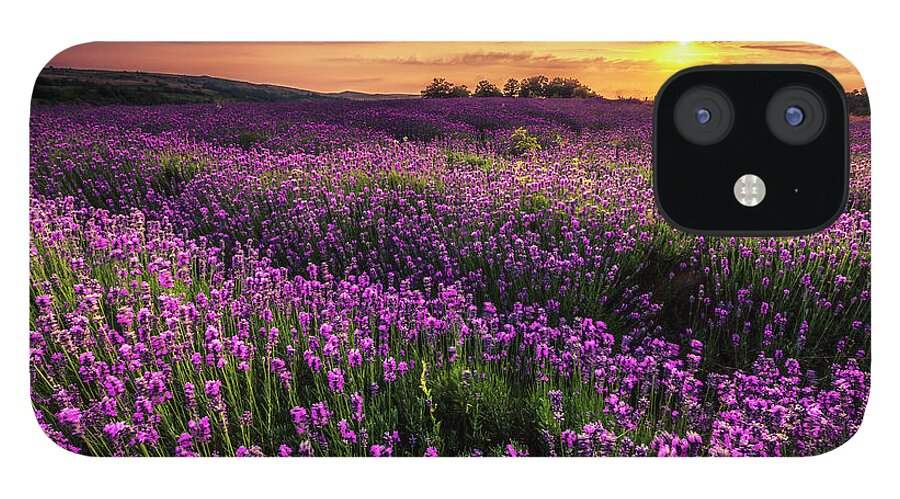 Bulgaria iPhone 12 Case featuring the photograph Purple Sea by Evgeni Dinev