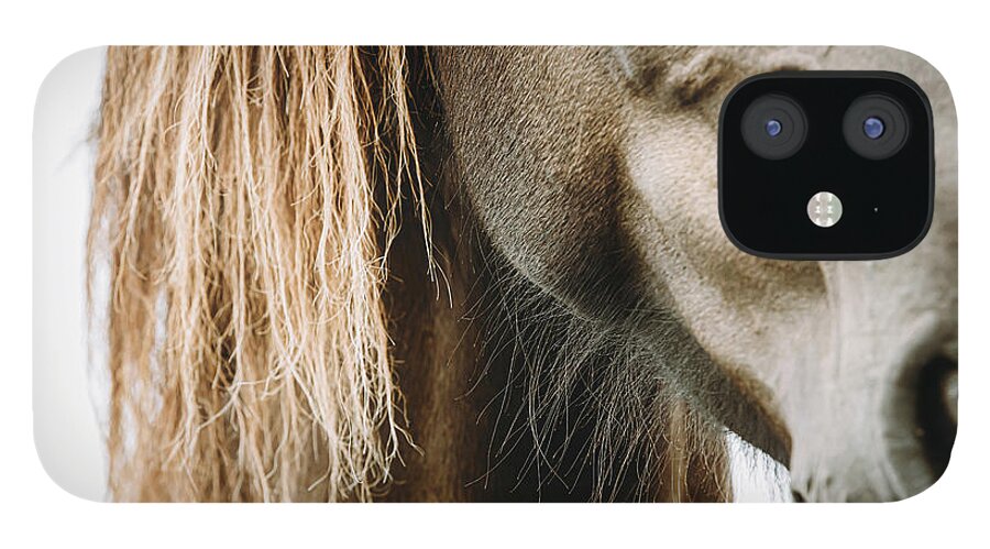 Horse iPhone 12 Case featuring the photograph Quest I - Horse Art by Lisa Saint