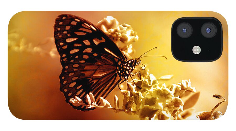 Butterfly iPhone 12 Case featuring the photograph Radiance by Holly Kempe