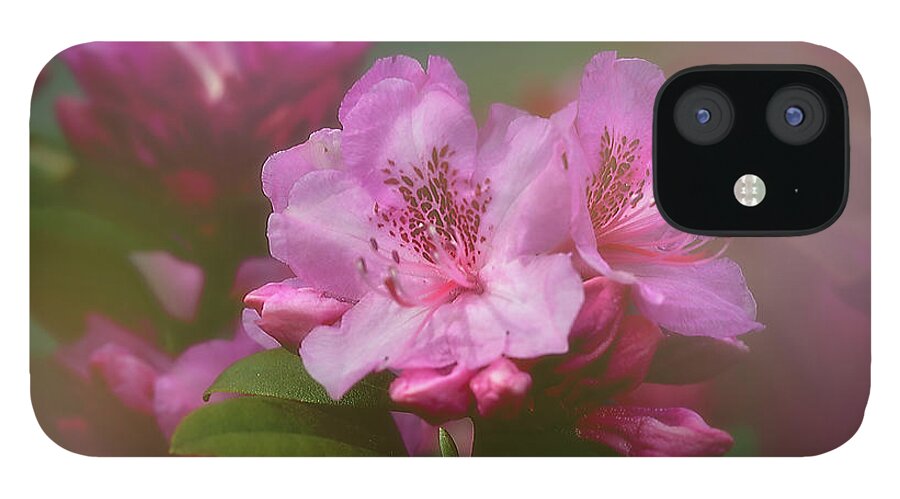 Flower iPhone 12 Case featuring the photograph Rhododenddron by Ann Jacobson