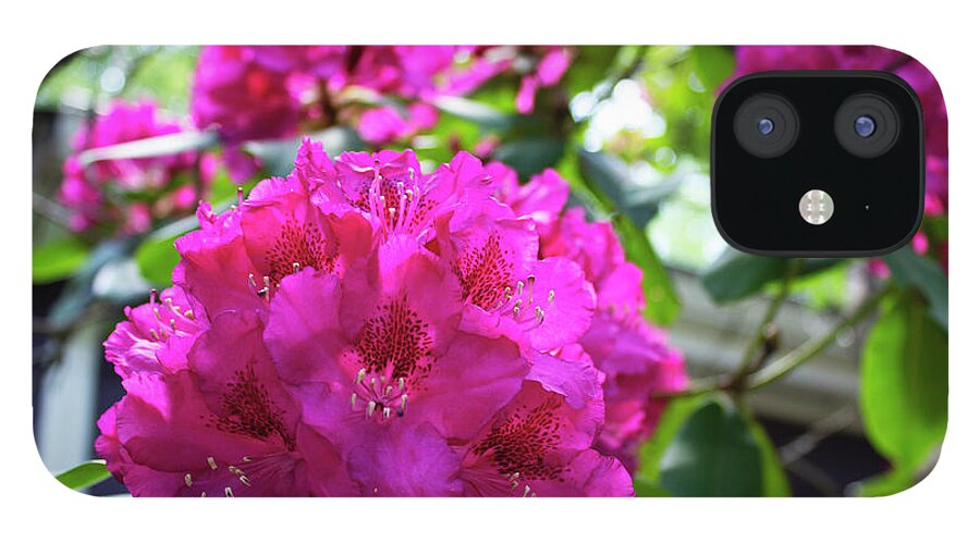 Flower iPhone 12 Case featuring the photograph Rhododendron Blossom by Geoff Jewett