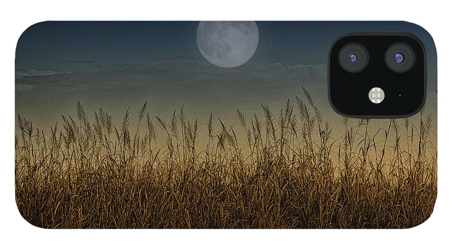 Full Moon iPhone 12 Case featuring the digital art Rising Moon by Neala McCarten