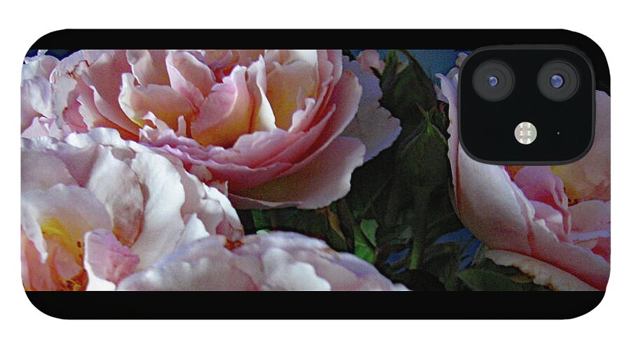 Rose iPhone 12 Case featuring the photograph Roses Pink Evelyn by Corinne Carroll