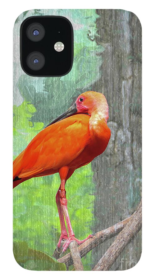 Scarlet Ibis iPhone 12 Case featuring the photograph Scarlet Ibis by Bentley Davis