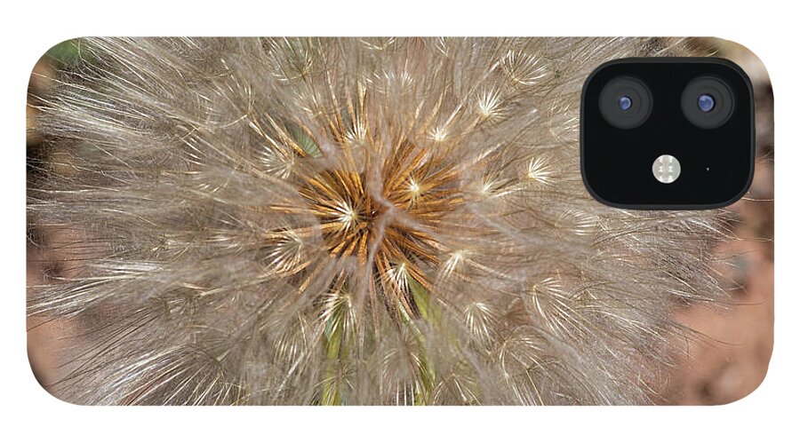 Moab iPhone 12 Case featuring the photograph Seed Pod Reflections by Dan Norris