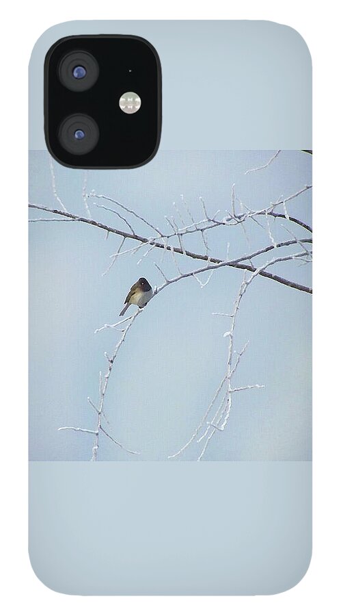 Winter iPhone 12 Case featuring the mixed media Snow bird, a finch in winter by Shelli Fitzpatrick