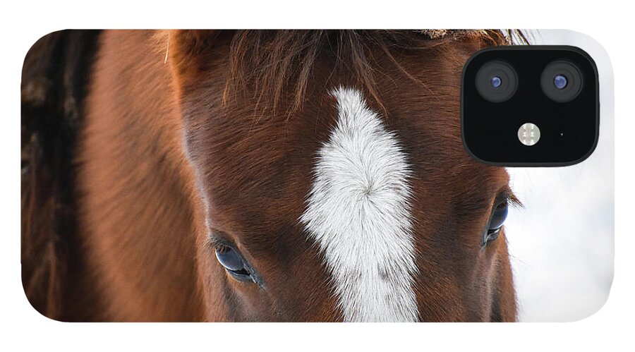 Winter iPhone 12 Case featuring the photograph Soft Beauty by Listen To Your Horse