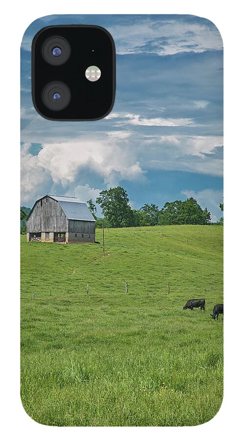 Cows iPhone 12 Case featuring the photograph Spring Pasture by Jurgen Lorenzen