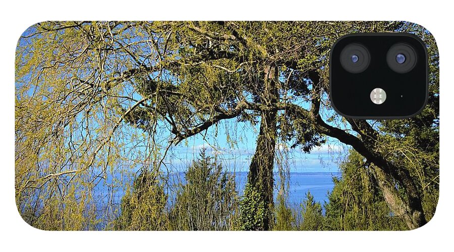 Trees iPhone 12 Case featuring the photograph Spring Trees Sharing the View of the Pacific by James Cousineau