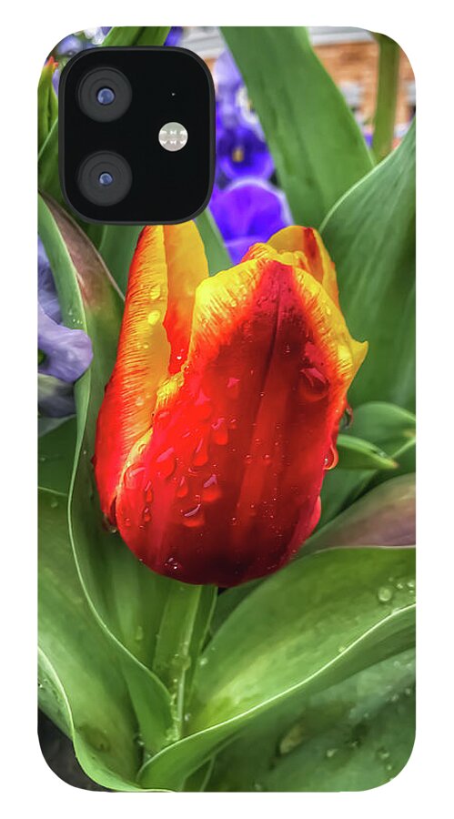 Tulips iPhone 12 Case featuring the photograph Spring Tulips Covered in Raindrops by Michael Dean Shelton