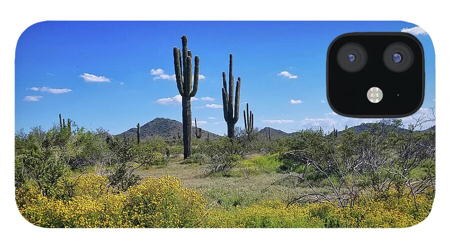 Springtime Saguaro iPhone 12 Case featuring the photograph Springtime Saguaro by Gene Taylor