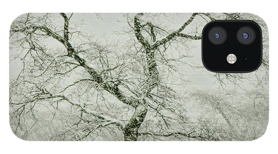 Snow iPhone 12 Case featuring the photograph Squall at Cummngs Park by Cordia Murphy